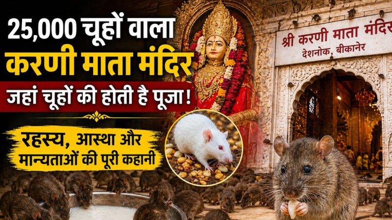 25,000 चूहों वाला रहस्यमयी मंदिर! बीकानेर के Karni Mata Temple की अनोखी आस्था की पूरी कहानी